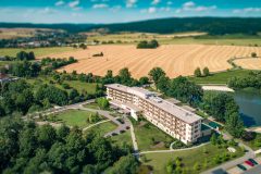 Tree-of-Life-14 Tree-of-Life-14