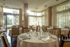 Tree-of-Life-2 Tree-of-Life-2