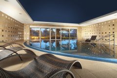 Tree-of-Life-5 Tree-of-Life-5