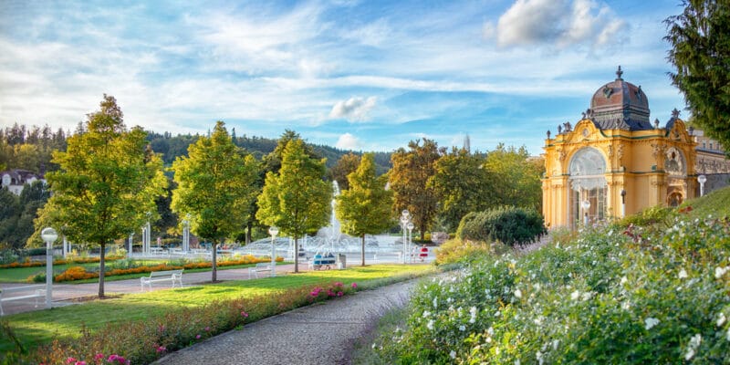 Weight balance basic