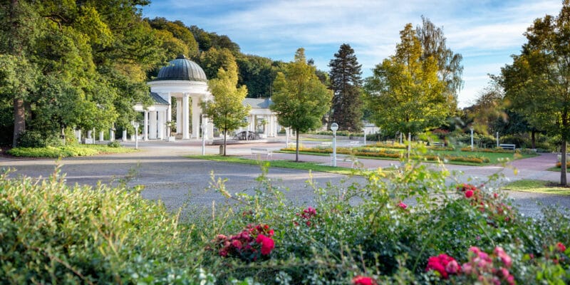 Weight Balance Basic